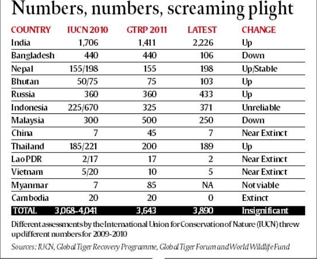 Tiger Population